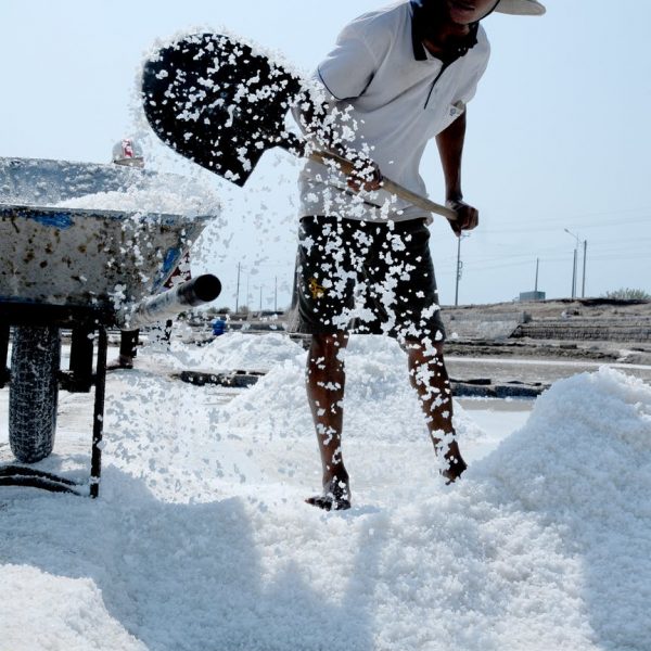 Zoutgehalte Dode Zee Zoutgehalte Dode Zee