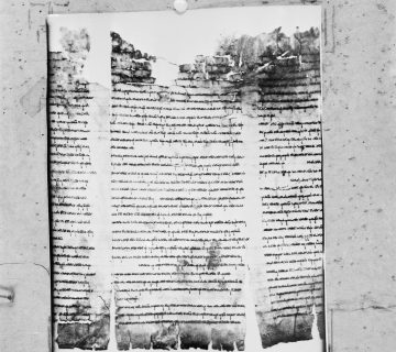 Alles over de Dode Zee-rollen