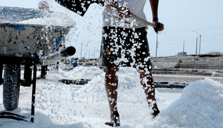 Ontwerp zonder titel (6)